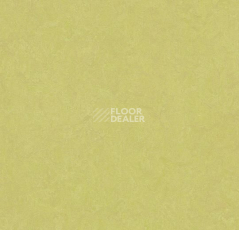 Линолеум Forbo Marmoleum Marbled Fresco 3885-388535 spring buds фото 1 | FLOORDEALER